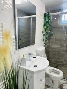 锡比乌Luxor Apartament Sibiu的浴室配有卫生间、盥洗盆和淋浴。
