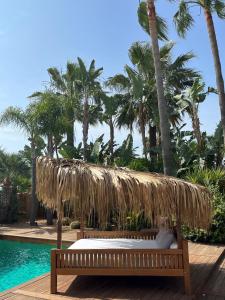 圣乔治VILLA SERENITY 3 Luxury boutique villa的游泳池旁带草屋顶的长凳