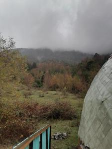 梅利佩乌科Alquimia del Hualle的享有雾 ⁇ 的山坡美景,设有帐篷