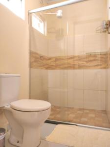 戈亚斯州上帕莱索Chalé com ar condicionado e garagem的一间带卫生间和淋浴的浴室