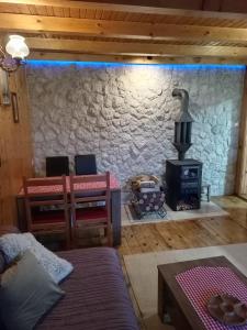 扎布利亚克扎布利亚克山林小屋的客厅设有石墙和炉灶。