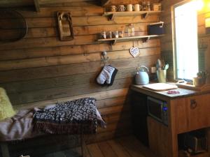 特罗布里奇Dolly’s shepherds hut的厨房配有带水槽和台面的木墙