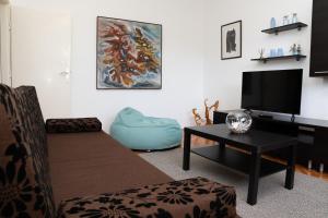 拉巴克Apartment Stella Marina的带沙发和平面电视的客厅
