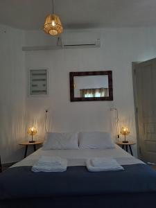 克若尼索斯Poudas House的一间卧室配有一张带两盏灯和镜子的床