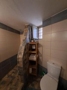 克若尼索斯Poudas House的一间带卫生间和石墙的浴室