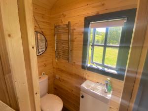 兰达弗里Oakies Farm Stays的一间带卫生间和窗户的小浴室