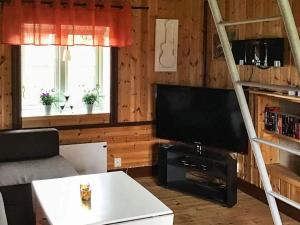 博伦厄Holiday home BORLÄNGE的一间带电视和梯子的客厅