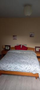 沙托丹La Dunoise的一间卧室配有一张带红色枕头的大床