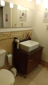 巴拉那B&B - El Refugio -C D的一间带水槽和卫生间的浴室