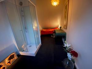 登博斯Huisje Vivaldi的带淋浴的浴室和客房内的一张床