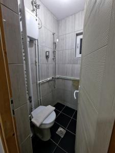 弗拉西纳里德Vila Vlasina的一间带卫生间和淋浴的小浴室