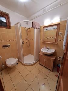 久洛Rozmaring Apartmanok的带淋浴、卫生间和盥洗盆的浴室