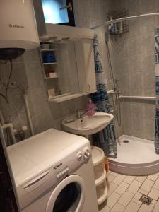 东兹斯托里弗Apartments IRINA的一间带洗衣机和水槽的浴室