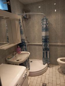 东兹斯托里弗Apartments IRINA的带淋浴、盥洗盆和卫生间的浴室