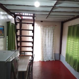 San IsidroKlay's tiny home的带梯子的厨房,位于带窗户的房间内