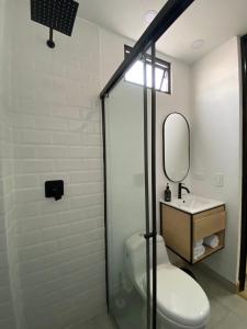 麦德林80Cooliving Medellín的一间带卫生间、水槽和镜子的浴室