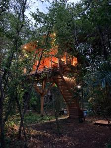 GuatemalaTamarindo Pura Selva Eco Tree House的森林中的一个树屋