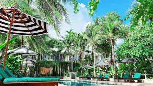 查龙Signature Phuket Resort的一个带椅子和遮阳伞的游泳池以及棕榈树
