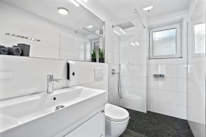 腓特烈港Villa Dana Bodensee的白色的浴室设有水槽和卫生间。