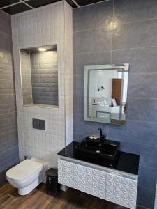 VratsaСтая Комфорт Пламен的一间带水槽、卫生间和镜子的浴室