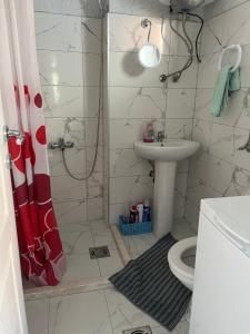 巴尔Apartment Aleksandra的带淋浴、盥洗盆和卫生间的浴室
