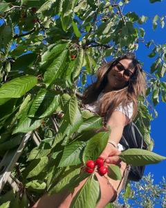 维科德尔加尔加诺Donna Elena的女人坐在树上,抱着浆果