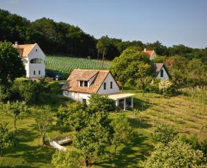 MencshelyCheerful Cottage at Balatonfelvidek Dörgicse的享有房子和葡萄园的空中景致