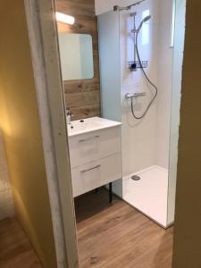 斯容代克t Schooltje的浴室配有盥洗盆和带镜子的淋浴