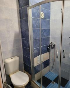 LetnitsaProvans famili hotel的一间带卫生间和淋浴的浴室