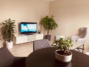 奥勒松Free parking central 2bedrooms with terrace的一间种植了盆栽植物的客厅和一台电视