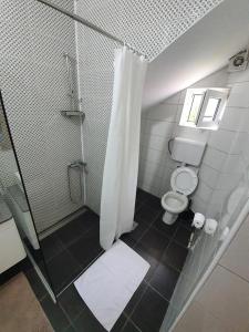 索科矿泉村STUDIO VIK的带淋浴和卫生间的浴室