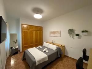 科尔多瓦COSTASOL CORDOBA - Apartamento moderno - céntrico的一间卧室配有一张床,上面有两条毛巾