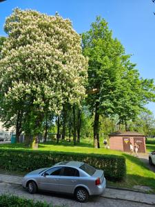 索斯诺维茨Loft的停在开花树前的银色汽车