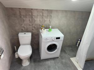 塞凡Chkalovka guest house with Sevan view的一间带卫生间和洗衣机的浴室
