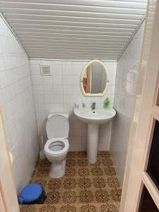 塞凡Chkalovka guest house with Sevan view的一间带卫生间和水槽的小浴室