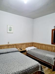 佩尼亚巴瑟洛广场酒店的卧室配有两张床,墙上挂着一幅画