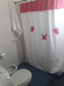 拉里奥哈Oliva Petit Swite的一间带卫生间和淋浴帘的浴室