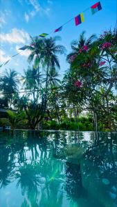 特鲁卡那拉特Lala Salama Backpacker的棕榈树环绕的水池