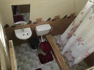 WinnebaLord's Hands Guesthouse Hotel的一间带水槽、卫生间和镜子的浴室