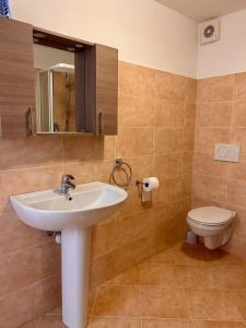 韦尔巴尼亚TRA MONTI E LAGO的一间带水槽和卫生间的浴室