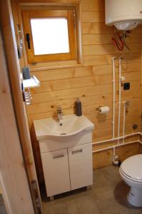 ZaovineVila Bella, Tara, Zaovinsko jezero的一间带水槽和卫生间的小浴室