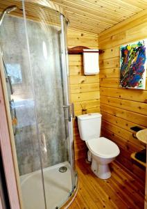 多切斯特Piddle Puddle Cabin的木制浴室设有卫生间和淋浴。
