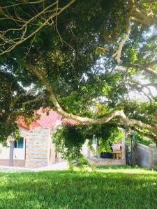 ElminaMavern House Apartments的树枝在房子前面的树枝