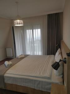 西格纳吉贝尔维尤精品酒店的卧室在窗户前配有一张大床