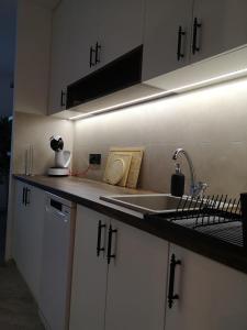 贝尔格莱德Apartman Darvin / Lux的厨房配有水槽和台面