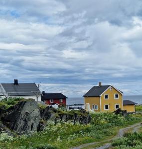 贝勒沃格Liten leilighet i Berlevåg的山丘上一群房子,与大海相连