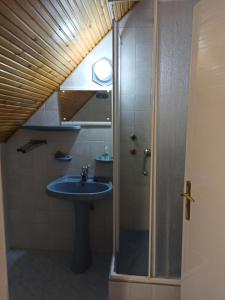 根尼斯迪亚斯Almavilla的一间带水槽和淋浴的浴室