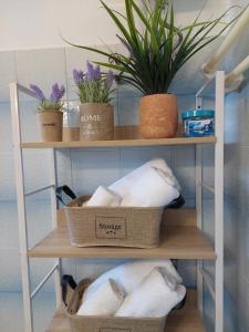 卡利斯托斯Eva's apartment的浴室架子上装有毛巾篮和植物