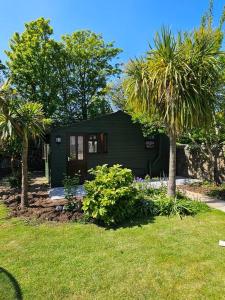 坎伯恩Picturesque Cabin in Cornwall的一座小黑房子,在院子里种有棕榈树