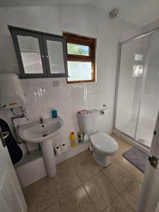 坎伯恩Picturesque Cabin in Cornwall的浴室配有卫生间、盥洗盆和淋浴。